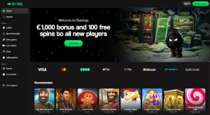 betninja casino zonder cruks